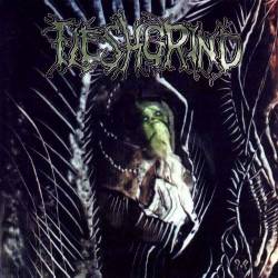 Fleshgrind : The Seeds of Abysmal Torment
